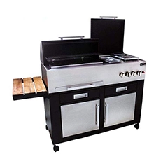 باربیکیو مدل Amin BBQ BSRC-110 