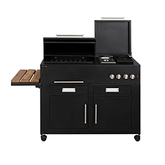 باربیکیو مدل Amin BBQ BRC-110