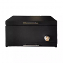 باربیکیو مدل Amin BBQ BFD-051